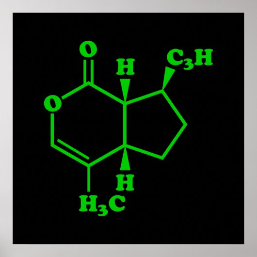 Poster Catnip Nepetalactone Formule chimique moléculaire (Devant)