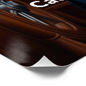 Poster Catpitalist Ecologism : Parce que les yachts écolo (Coin)