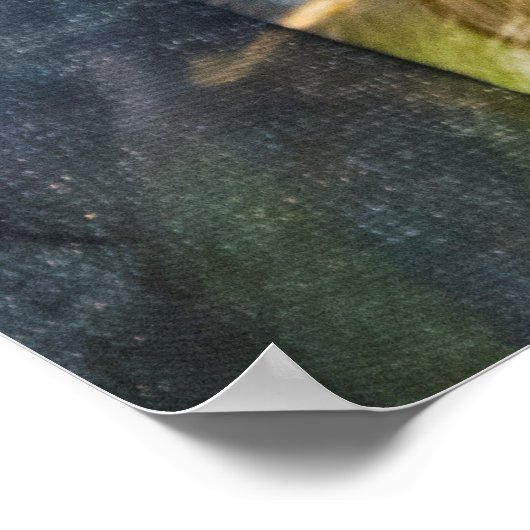 Poster Catrina Mexicana (Coin)