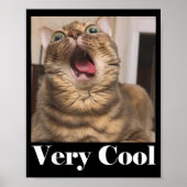 Poster Cats Meme Graphic Silly Cat Humor Funny Cat Very C (Devant)