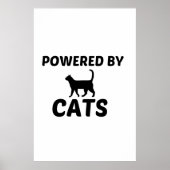 POSTER CATS POWERES (Devant)