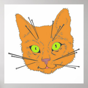 Poster Cat's Whiskers