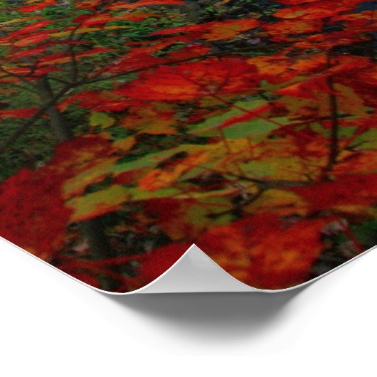 Poster Catskill Autumn Paradise Canvas Imprimer (Coin)