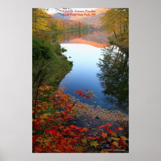 Poster CatSkills Autumn Paradise (Devant)