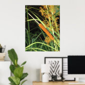 Poster Cattail au coucher du soleil (Bureau à domicile)