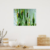 Poster Cattails (Cuisine)