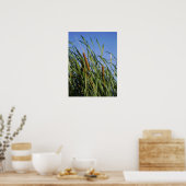 Poster Cattails (Cuisine)