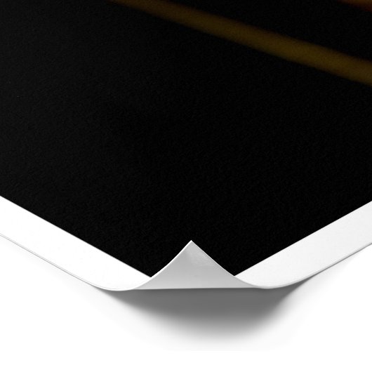 Poster Cattails (Coin)