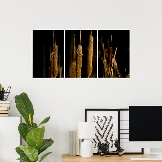 Poster Cattails (Bureau à domicile)