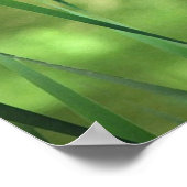 Poster Cattails à l'étang (Coin)