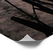 Poster Cattails au coucher du soleil (Coin)