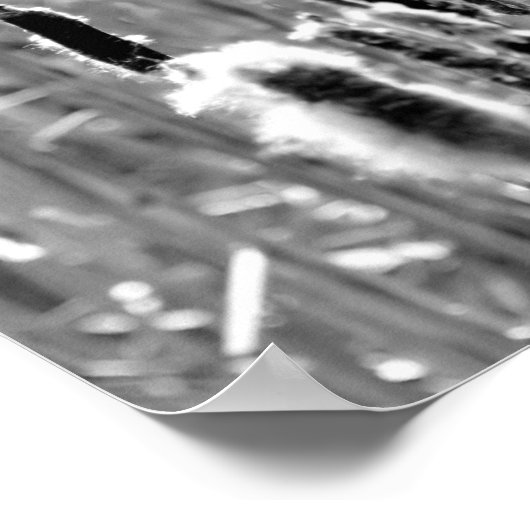 Poster Cattails Fluffants Noir Et Blanc (Coin)