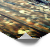 Poster Cattails Fluffés Dans La Nature Du Printemps (Coin)