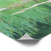 Poster Cattails Pond Réflexions Photo Peinture (Coin)