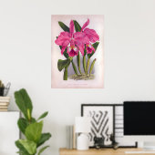 Poster Cattleya Labiata Orchidées Vintages roses profonde (Bureau à domicile)