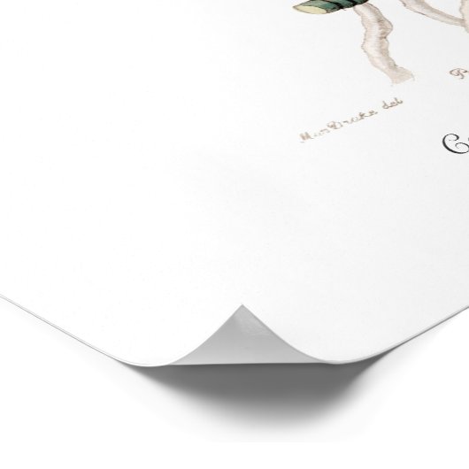 Poster Cattleya mossiae (Coin)