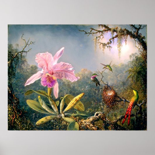 Poster Cattleya Orchid and Three Hummingbirds (Devant)