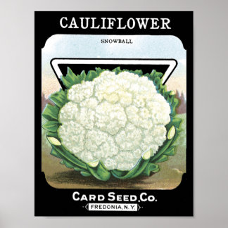 Poster Cauliflower Card Seed Co. paquet Fredonia, NY