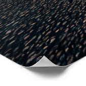 Poster Cause des nids de poule (Coin)