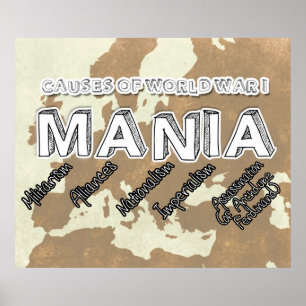 Poster Causes de la Première Guerre mondiale