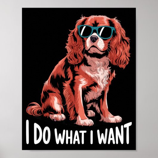 Poster Cavalier King Charles Art For Men Women Cavalier S (Devant)