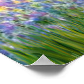 Poster Cavalier King Charles (Blenheim) - Jardin (Coin)