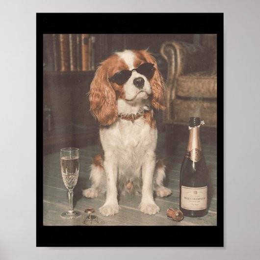 Poster Cavalier King Charles buvant du champagne drôle (Devant)