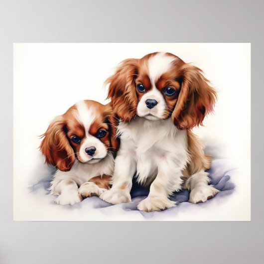 Poster Cavalier King Charles Puppies (Devant)