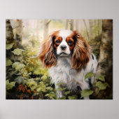 Poster Cavalier King Charles Spaniel (Devant)