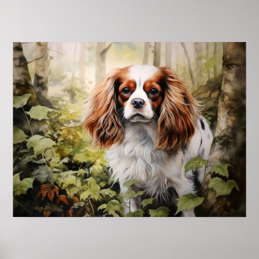 Poster Cavalier King Charles Spaniel (Devant)