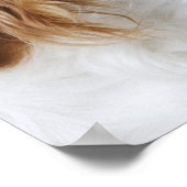 Poster Cavalier King Charles Spaniel (Coin)