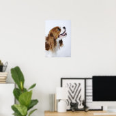 Poster Cavalier King Charles Spaniel (Bureau à domicile)