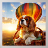 Poster Cavalier King Charles Spaniel à cheval sur un ball (Devant)