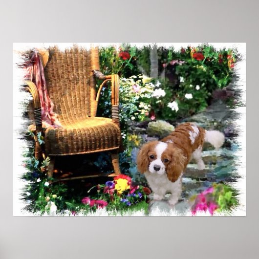 Poster Cavalier King Charles Spaniel Art (Devant)