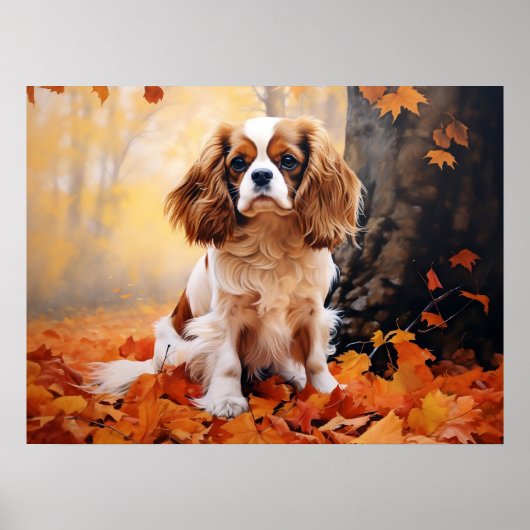 Poster Cavalier King Charles Spaniel Blenheim (Devant)