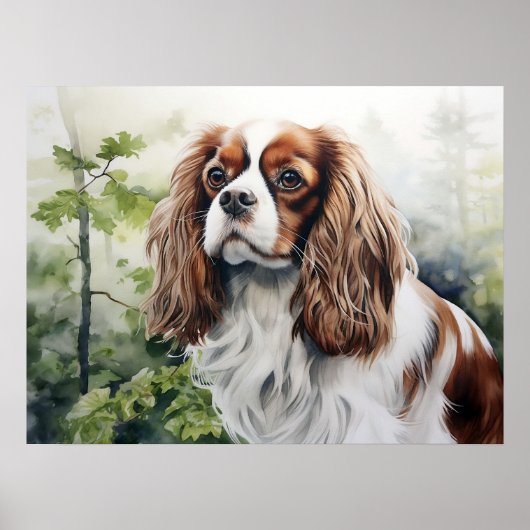 Poster Cavalier King Charles Spaniel Blenheim (Devant)