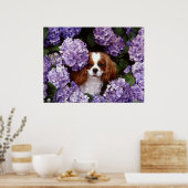 Poster Cavalier King Charles Spaniel Chien (Cuisine)