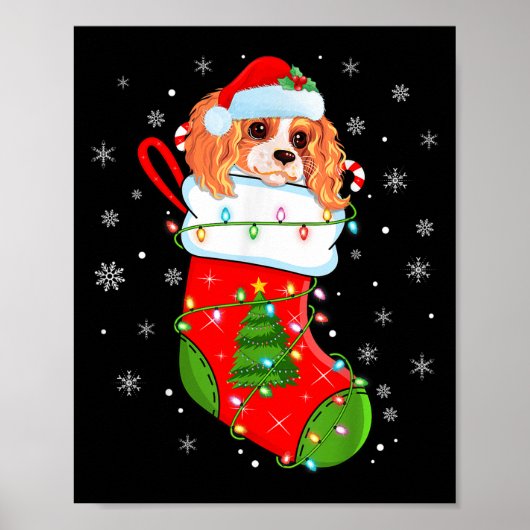 Poster Cavalier King Charles Spaniel Chien Dans Noël Soc (Devant)