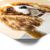 Poster Cavalier King Charles Spaniel Peinture originale (Coin)