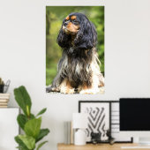 Poster Cavalier King Charles Spaniel Royal noir et feu (Bureau à domicile)