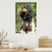 Poster Cavalier King Charles Spaniel Royal noir et feu (Cuisine)