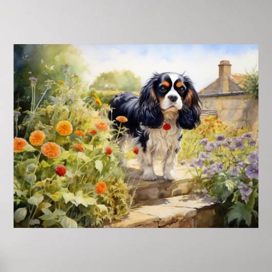 Poster Cavalier King Charles Spaniel tricolore (Devant)