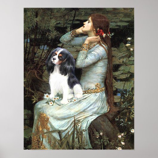Poster Cavalier King Charles (tricolor) - Ophélie assise (Devant)