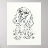 Poster Cavalier roi charles imprimé spaniel | dessin (Devant)