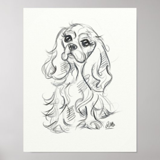 Poster Cavalier roi charles imprimé spaniel | dessin (Devant)
