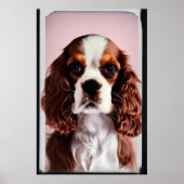 Poster cavalier roi charles spaniel AI7 (Devant)