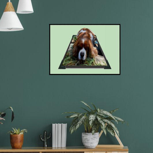 Poster Cavalier Sooky Face Spaniel, (Salon 1)