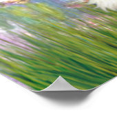 Poster Cavalier (Tri Coloré 5) - Lys 2 (Coin)