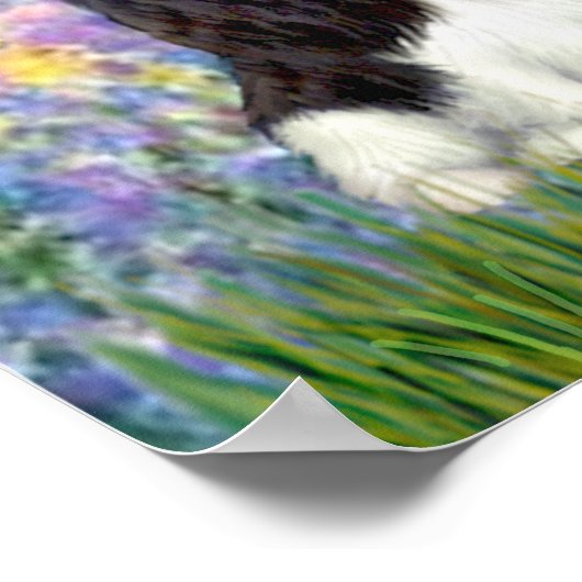 Poster Cavaliers (4) - Jardin (Coin)