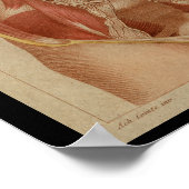 Poster Cavité thoracique Anatomie humaine Vintage Imprime (Coin)